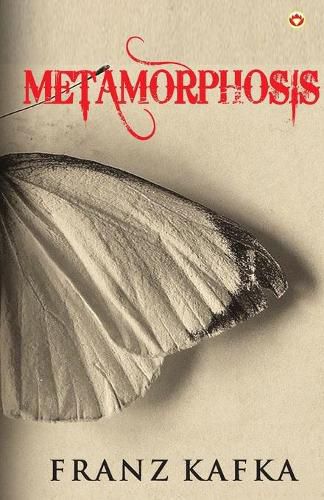 Cover image for Metamorphosis