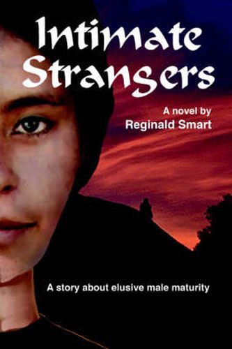 Cover image for Intimate Strangers