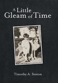 Cover image for A Little Gleam of Time