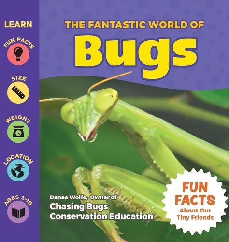 Cover image for The Fantastic World of Bugs