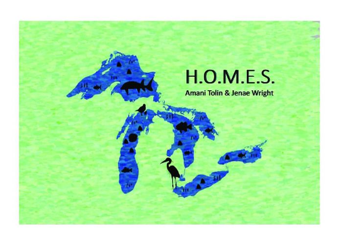Cover image for H.O.M.E.S.