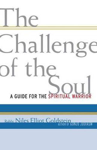 Cover image for The Challenge of the Soul: A Guide for the Spiritual Warrior