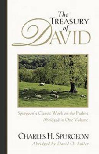 Cover image for The Treasury of David
