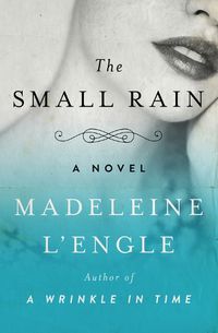 Cover image for The Small Rain: A Novel