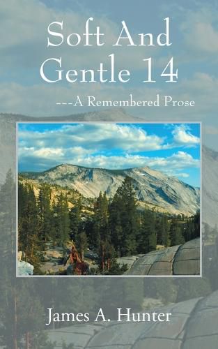 Cover image for Soft And Gentle 14