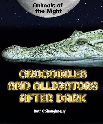 Cover image for Crocodiles and Alligators After Dark