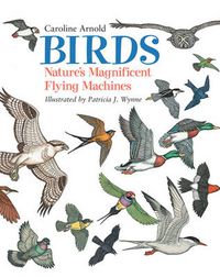 Cover image for Birds: Nature's Magnificent Flying Machines