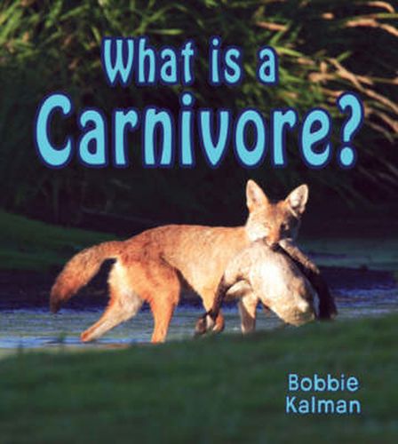 Cover image for What is a Carnivore