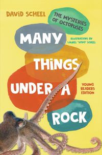 Cover image for Many Things Under a Rock Young Readers Edition