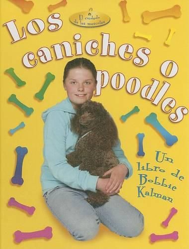 Cover image for Los Caniches O Poodles