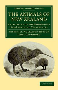 Cover image for The Animals of New Zealand: An Account of the Dominion's Air-Breathing Vertebrates