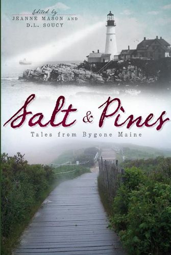 Cover image for Salt and Pines