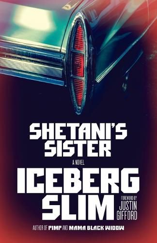 Cover image for Shetani's Sister