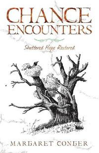 Cover image for Chance Encounters