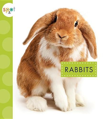 Cover image for Rabbits