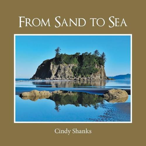 Cover image for From Sand to Sea