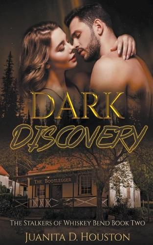 Cover image for Dark Discovery