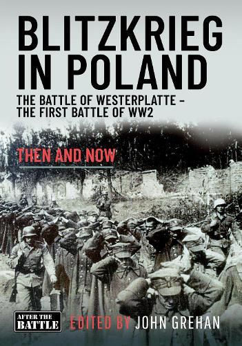 Cover image for Blitzkrieg in Poland