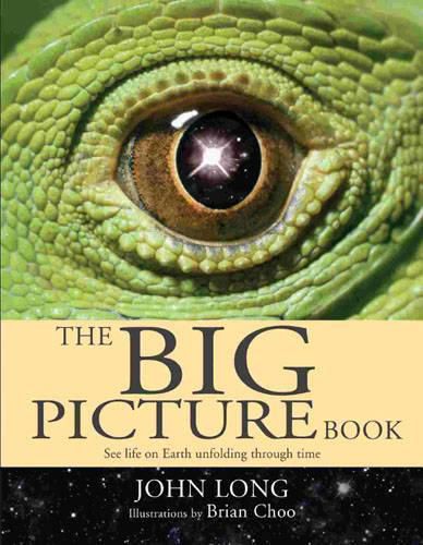 Cover image for The Big Picture Book