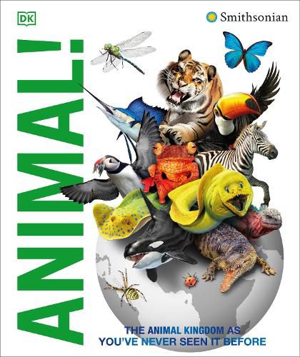 Cover image for Animal!