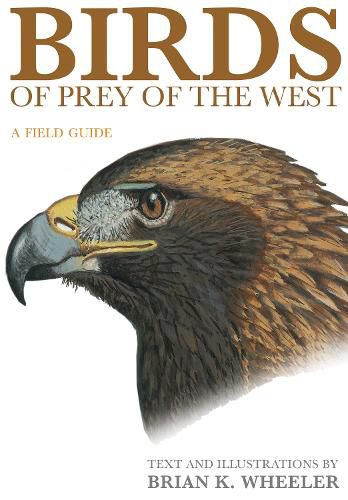 Cover image for Birds of Prey of the West: A Field Guide