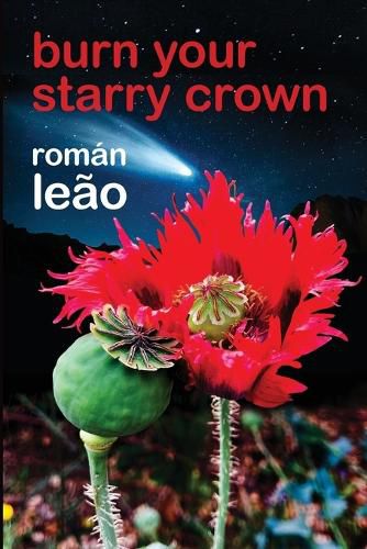 Cover image for Burn Your Starry Crown