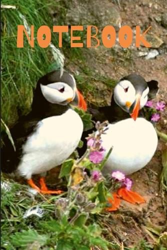 Cover image for Puffin Notebook