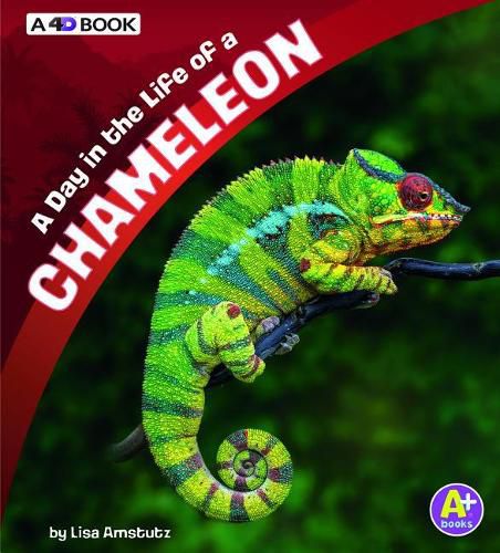 Cover image for A Day in the Life of a Chameleon: A 4D Book