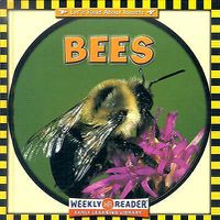 Cover image for Bees