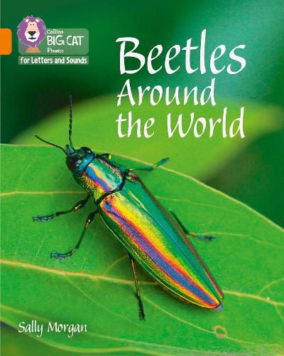 Beetles Around the World: Band 06/Orange