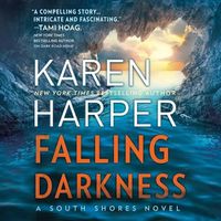 Cover image for Falling Darkness: (South Shores)