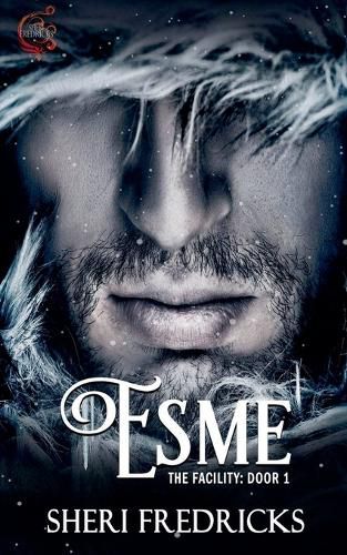 Cover image for Esme, Door 1