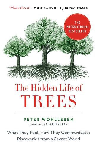 Cover image for The Hidden Life of Trees: What They Feel, How They Communicate