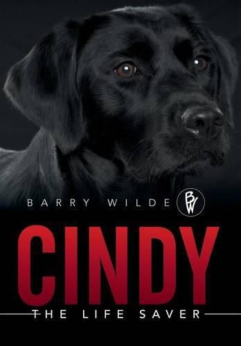 Cover image for Cindy: The Life Saver