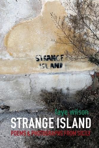 Cover image for Strange Island