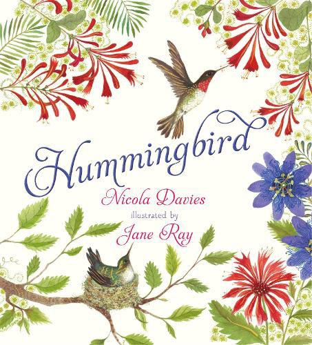 Cover image for Hummingbird