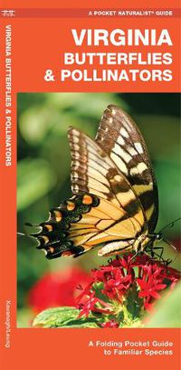 Cover image for Virginia Butterflies & Pollinators: A Folding Pocket Guide to Familiar Species