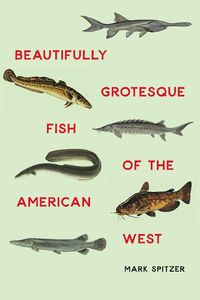 Cover image for Beautifully Grotesque Fish of the American West