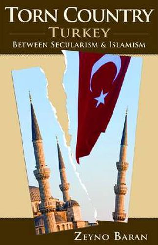 Cover image for Torn Country: Turkey between Secularism and Islamism