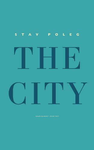 Cover image for The City