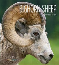 Cover image for Bighorn Sheep