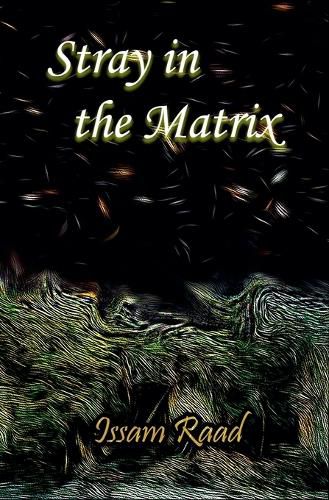 Cover image for Stray in the Matrix