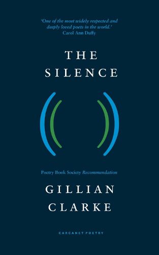 Cover image for The Silence