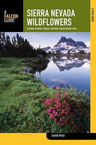 Cover image for Sierra Nevada Wildflowers: A Field Guide To Common Wildflowers And Shrubs Of The Sierra Nevada, Including Yosemite, Sequoia, And Kings Canyon National Parks