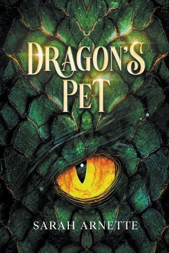 Cover image for Dragon's Pet