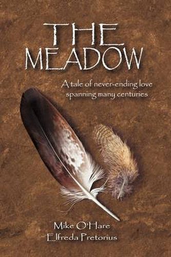 Cover image for The Meadow