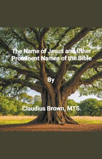 Cover image for The Name of Jesus and Other Prominent names of the Bible