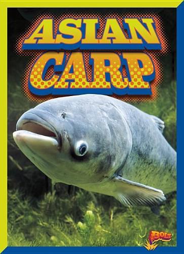 Cover image for Asian Carp