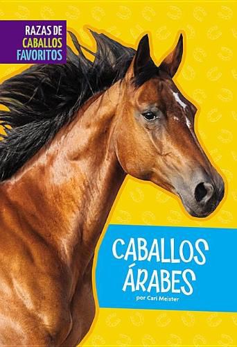 Cover image for Caballos Arabes