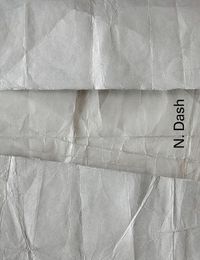 Cover image for N. Dash